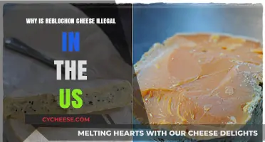 Why Reblochon Cheese Remains Banned in the United States