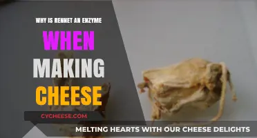 Rennet's Enzymatic Role in Cheese Making: A Crucial Coagulation Process