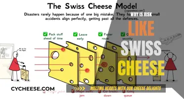 Swiss Cheese Risk: Holes in Your Defense