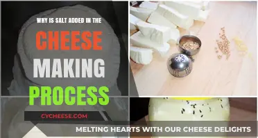 The Role of Salt in Cheese Making: Enhancing Flavor and Preservation