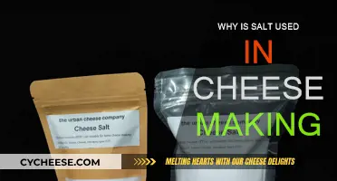 Salt in Cheese-Making: A Science and Art