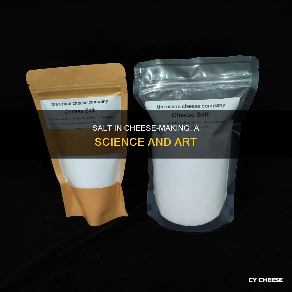 why is salt used in cheese making
