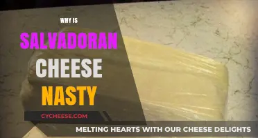The Unappetizing Truth About Salvadoran Cheese: Why It's So Nasty