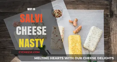 Why Salvi Cheese Tastes Awful: Uncovering the Unpleasant Truth