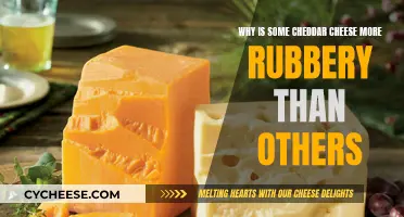 The Cheesy Conundrum: Rubbery Cheddar's Secret Unveiled