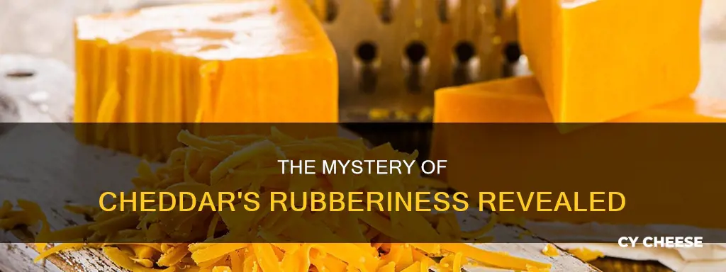 why is some cheddar cheese more rubbery than others