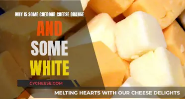 The Colorful Cheddar Conundrum: Unveiling the Orange Mystery