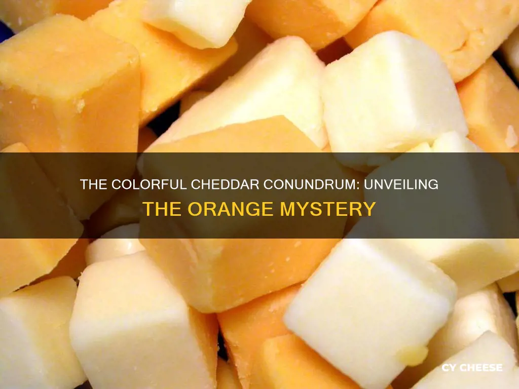 why is some cheddar cheese orange and some white