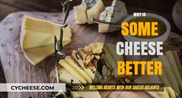 Exploring the Secrets Behind Superior Cheese Quality and Flavor