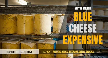 The High Cost of Stilton Blue Cheese: Why So Expensive?