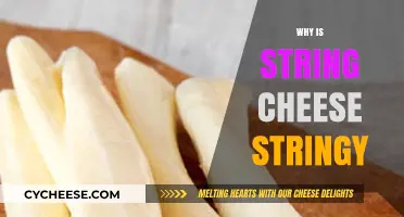 Why String Cheese Stretches: The Science Behind Its Stringy Texture