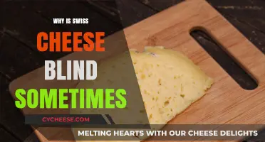 Swiss Cheese Blindness: The Mystery of Missing Eyes