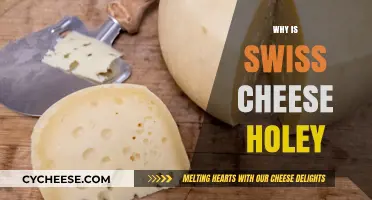 Swiss Cheese Secrets: Holes and Flavor