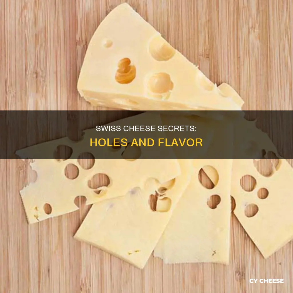 why is swiss cheese holey