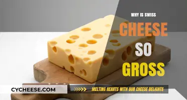 Swiss Cheese: Why It's So Gross