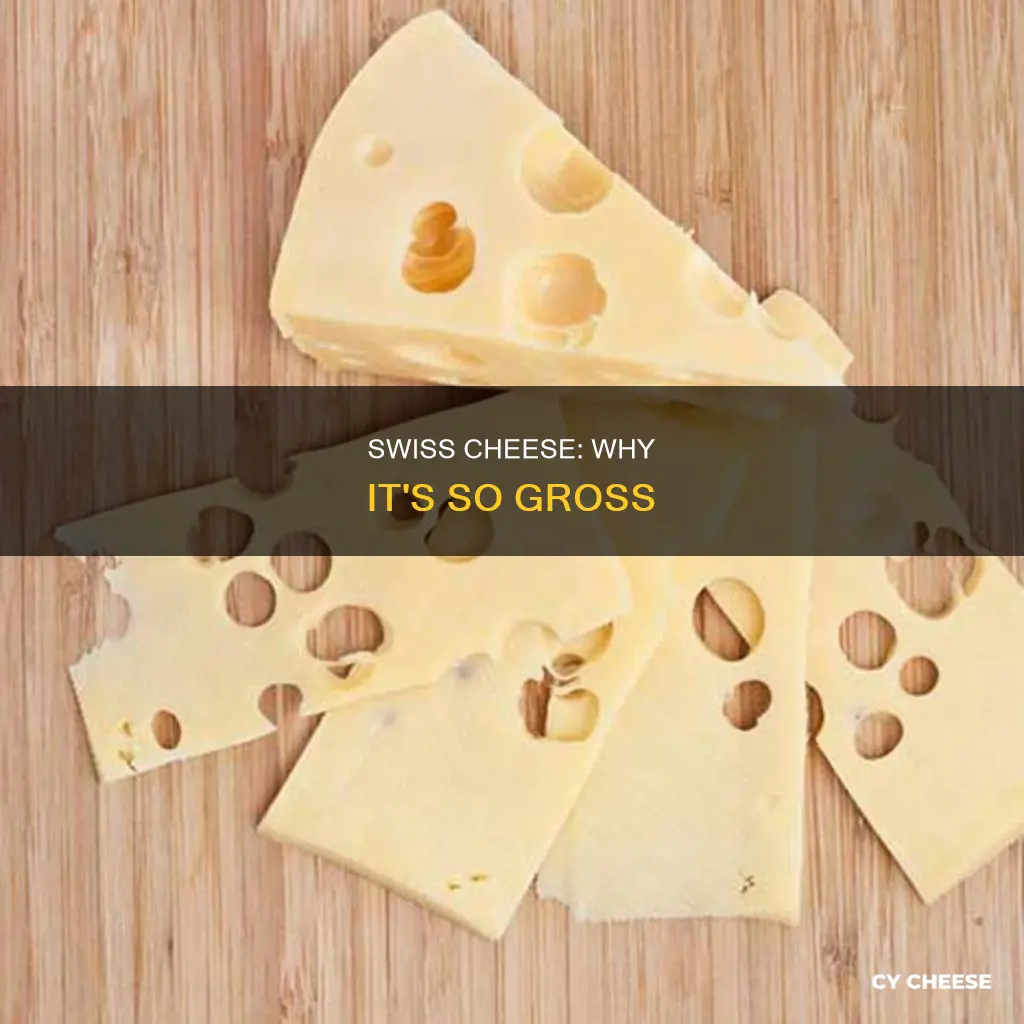why is swiss cheese so gross