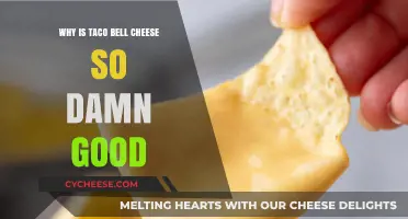The Secret Behind Taco Bell's Irresistible, Creamy Cheese Goodness