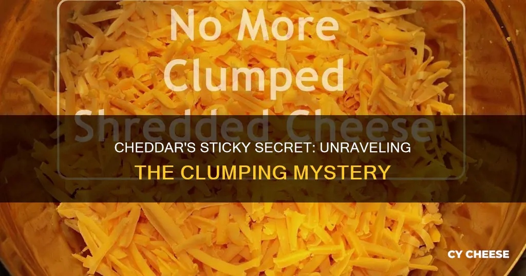 why is the cheddar cheese clumping