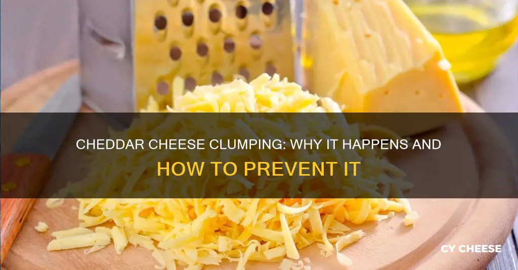 why is the cheddar cheese clumping