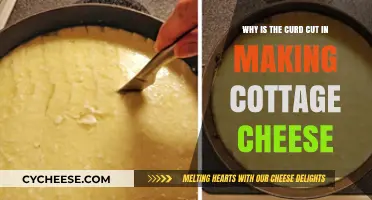 Why Curd Cutting is Essential in Making Cottage Cheese