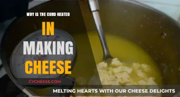 Heating Curd in Cheesemaking: Essential Steps for Texture and Flavor