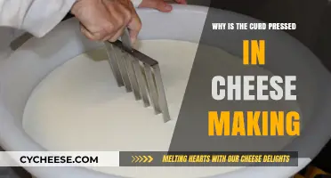 The Essential Role of Pressing Curd in Cheese Making Explained