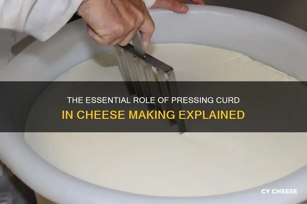 why is the curd pressed in cheese making