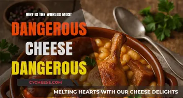 The Deadly Truth Behind the World's Most Dangerous Cheese