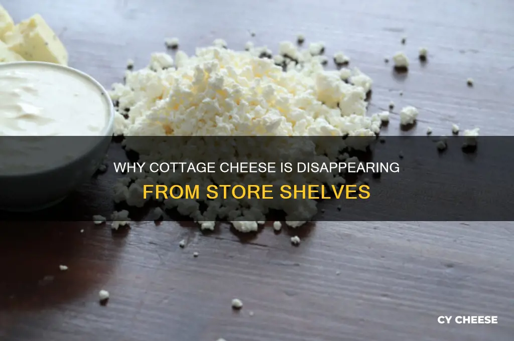 why is there a good culture cottage cheese shortage