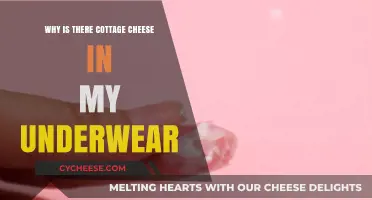 Cottage Cheese in Underwear: Understanding Causes and Solutions for Discharge