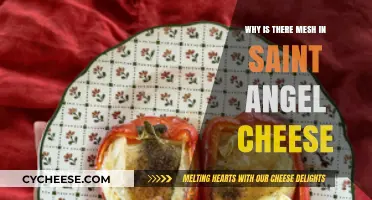 Why Saint Angel Cheese Uses Mesh: Uncovering Its Secret