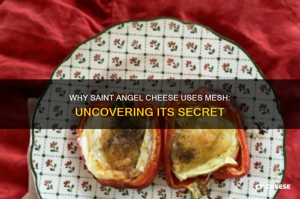 why is there mesh in saint angel cheese