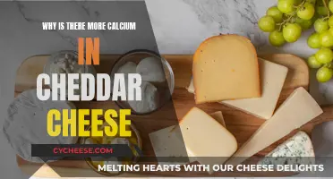 Cheddar Cheese: Calcium-Rich Superfood Explained