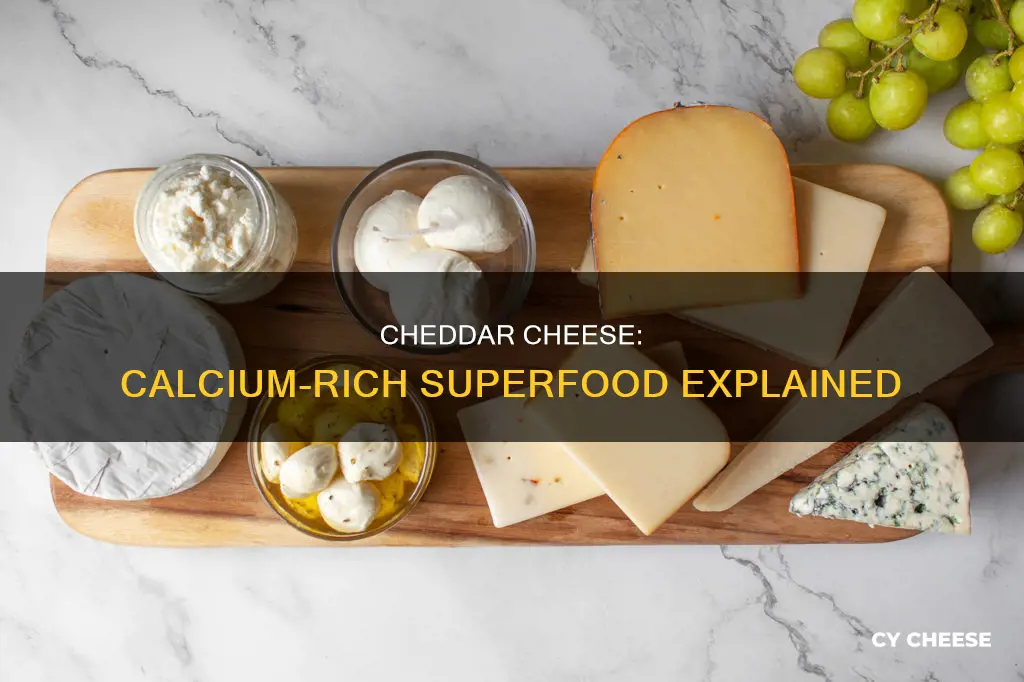 why is there more calcium in cheddar cheese