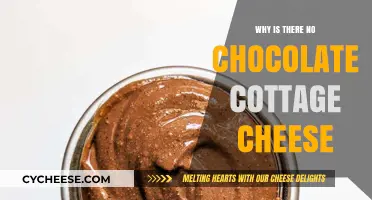 Why Chocolate Cottage Cheese Doesn't Exist: Unraveling the Dairy Mystery