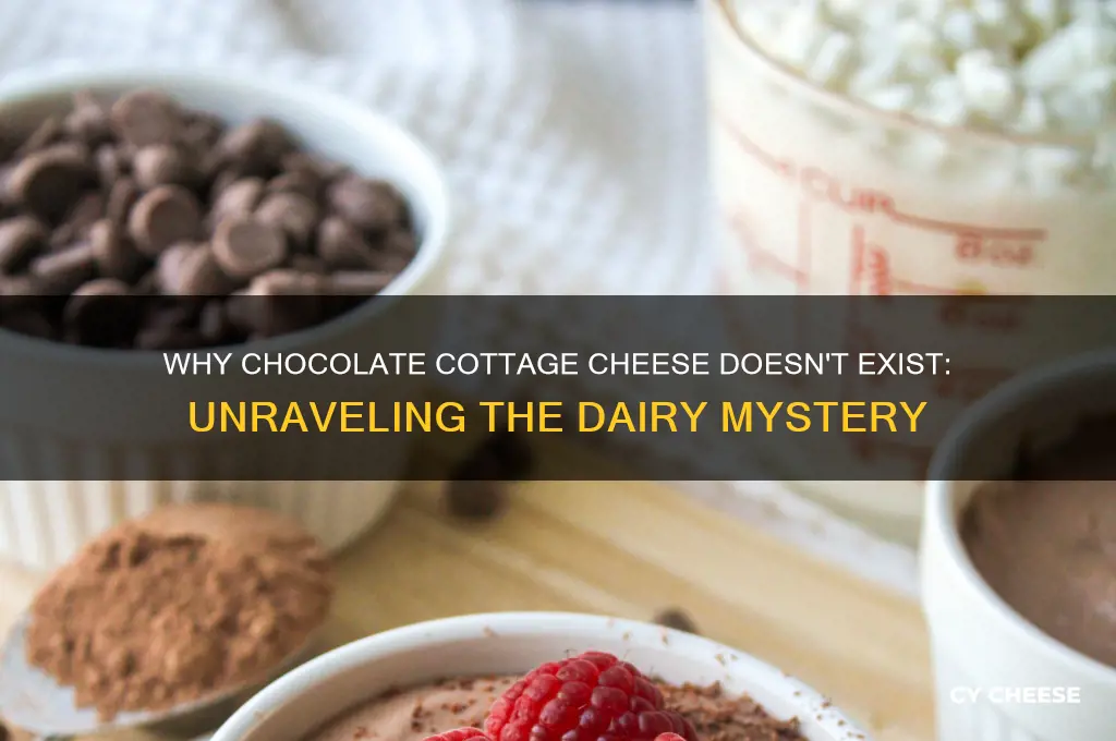 why is there no chocolate cottage cheese