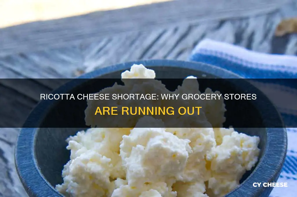 why is there no ricotta cheese in the grocery store