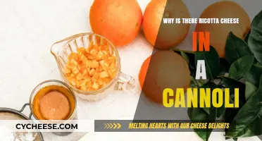 Why Ricotta Cheese is the Heart of Authentic Cannoli