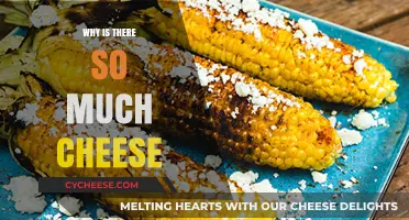 The Surprising Reasons Behind the Global Cheese Abundance