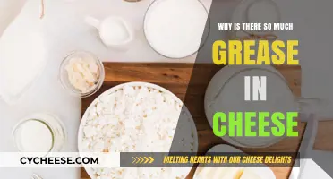 Why Cheese Contains So Much Grease: Uncovering the Fatty Truth