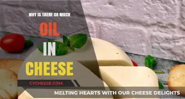 Why Cheese Contains So Much Oil: Uncovering the Cheesy Truth