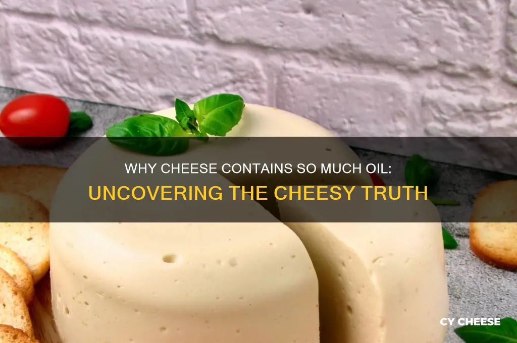 why is there so much oil in cheese