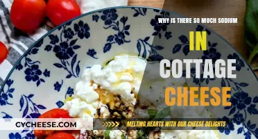 Why Cottage Cheese Contains High Sodium Levels: Uncovering the Truth