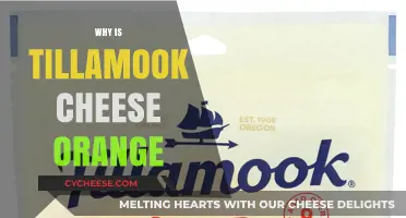 Why Tillamook Cheese is Orange: Uncovering the Dairy Secret