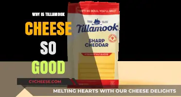 Tillamook Cheese: Uncovering the Secrets Behind Its Irresistible Flavor