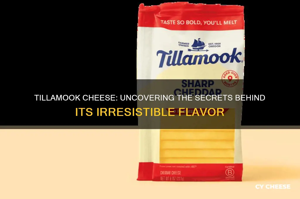 why is tillamook cheese so good