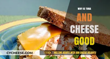 Tuna and Cheese: A Perfect Pairing for Flavor and Nutrition