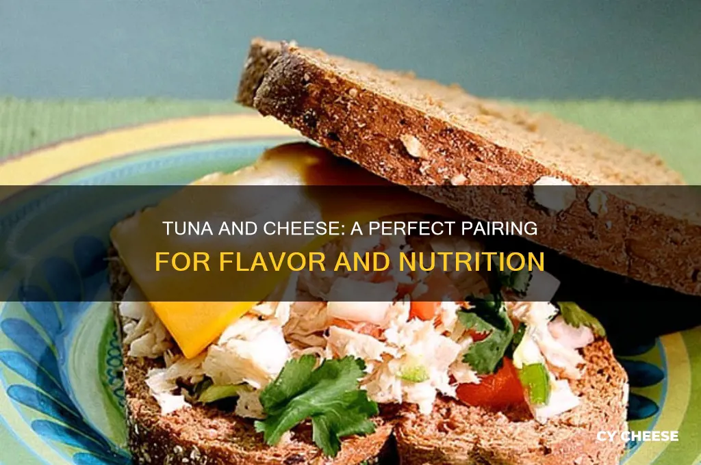 why is tuna and cheese good