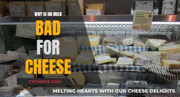 Milk's Impact: Why It's Bad for Cheese