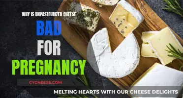 Unpasteurized Cheese: Pregnancy Danger Zone